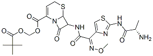 Ceftizoxime alapivoxil Chemical Structure