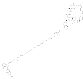 Rapalink-1 Chemical Structure