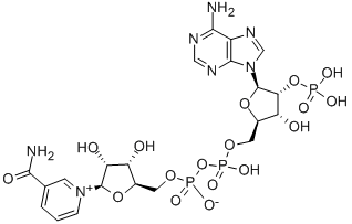 Triphosphopyridine nucleotide Chemical Structure