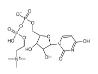 Uridine Diphosphate Choline Chemical Structure